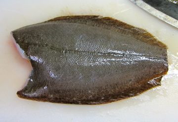 20111003_2.jpg